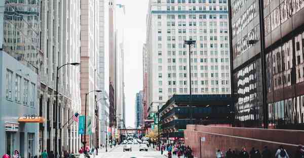 外国语单招大数据的行业文章