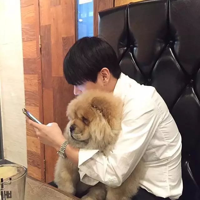 蒋青洁香