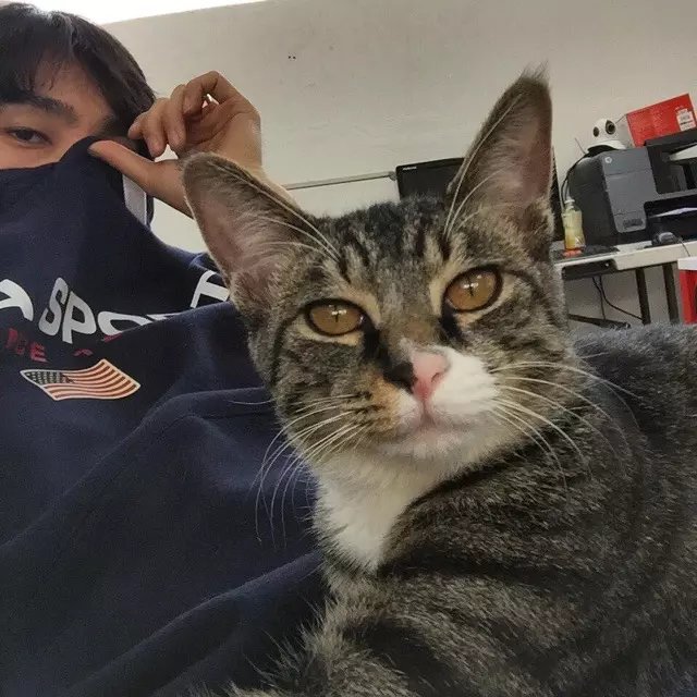 鲍友腾茗
