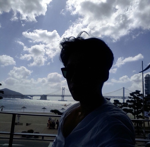宰振天林