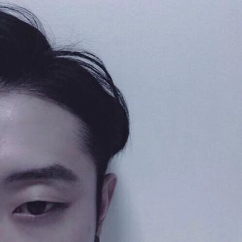 方东政凤