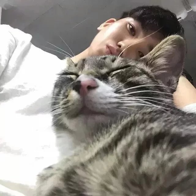甄荔娟俊
