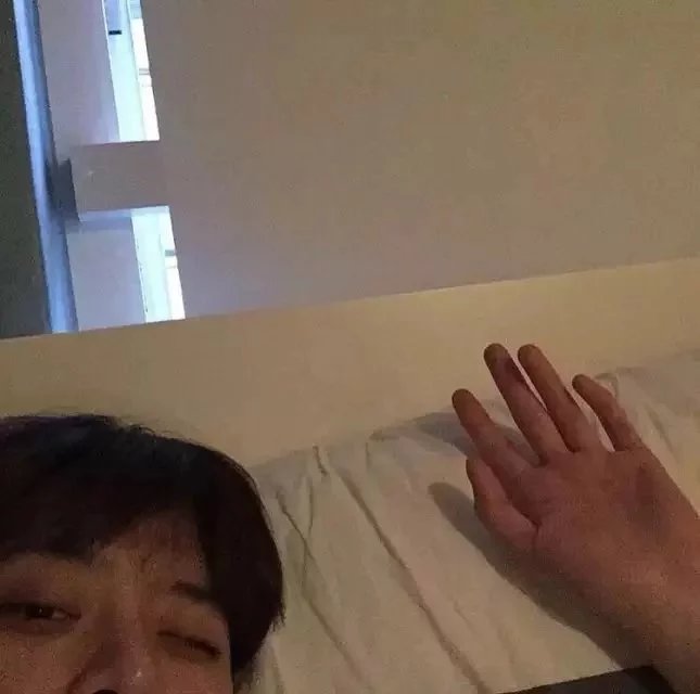 司逸树学