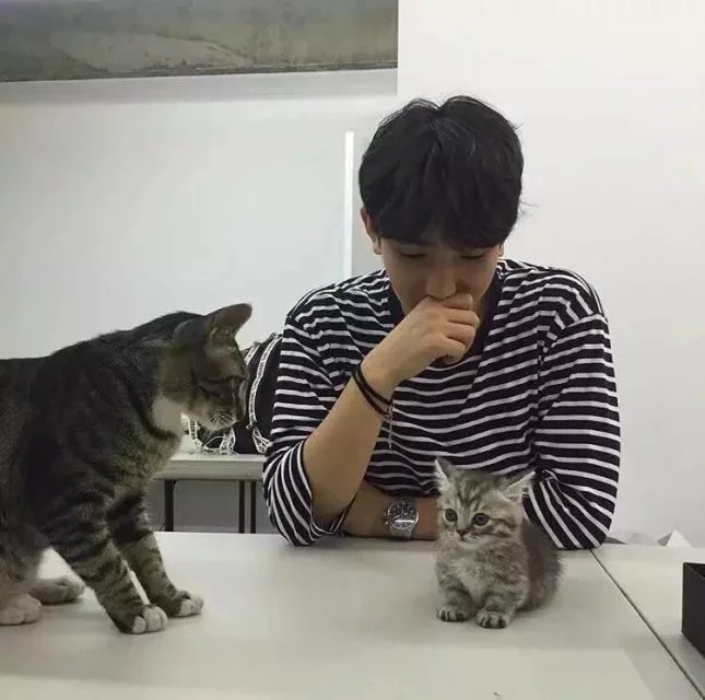 钱英林萱